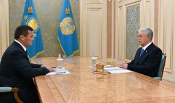 Тоқаев Нәлібаевты қабылдады