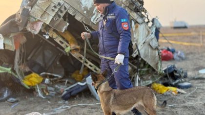 Опознаны тела семи погибших при крушении самолета в Актау