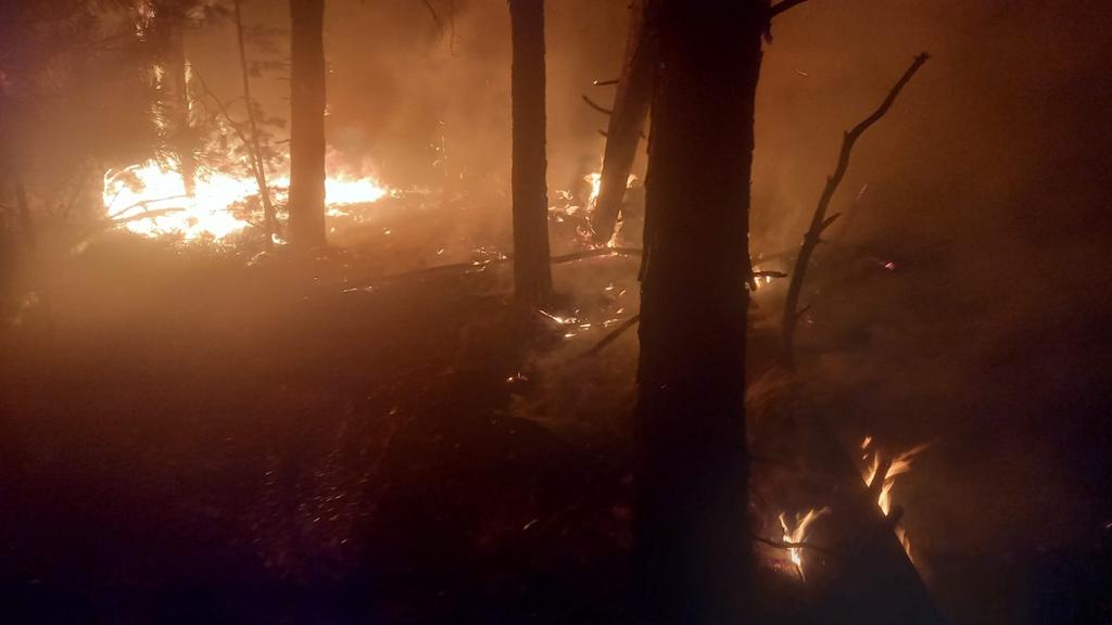 Қостанай облысындағы дала өрті толық сөндірілді