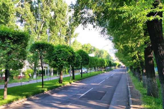 Қазақстан орман шаруашылығына инвестицияны сегіз есе арттырды