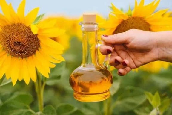 Қазақстан күнбағыс майын экспорттаудан әлемнің үздік ондығына кірді