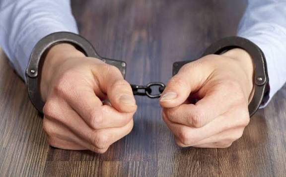 Түркістан облысында жоқ малға субсидия рәсімдеген топ сотталды