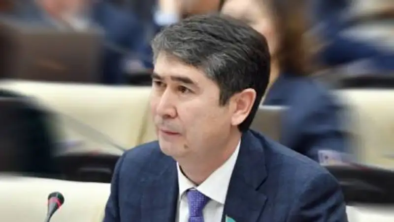 Депутаттың декларациясында жарты миллиардтық қосымша табыс көрсетілген