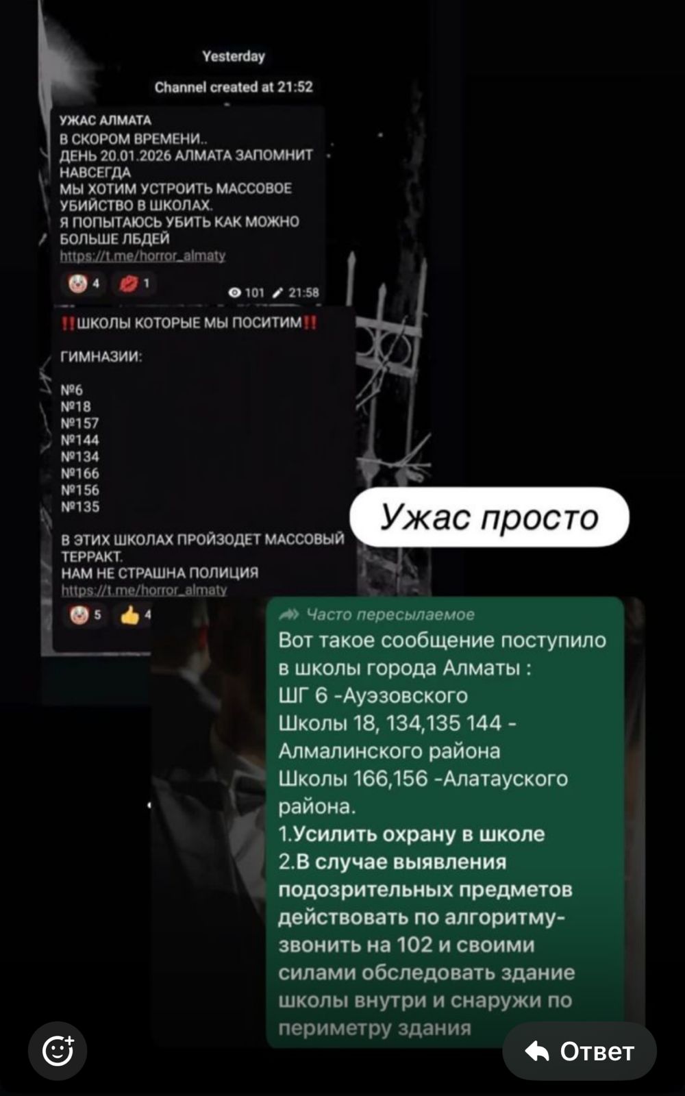 Алматы мектептеріне төнген теракт қаупі туралы полиция мәлімдемесі