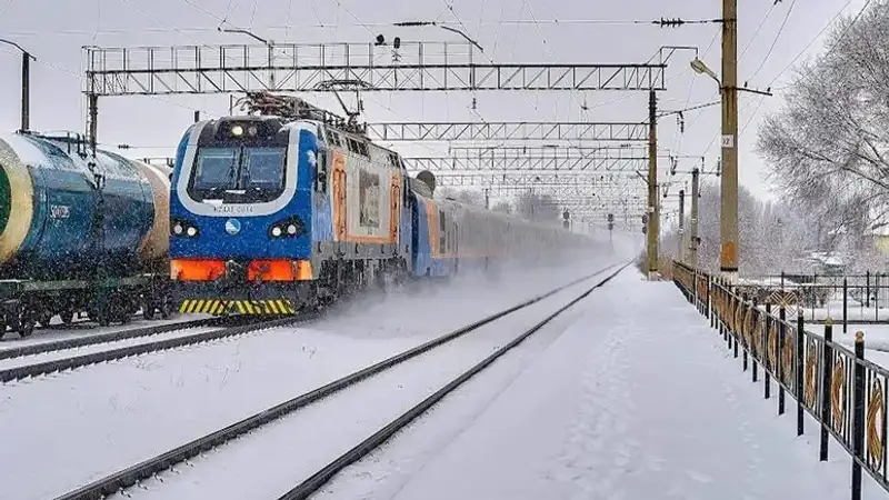 Ақмола облысында пойыз 11 жылқыны қағып кетті