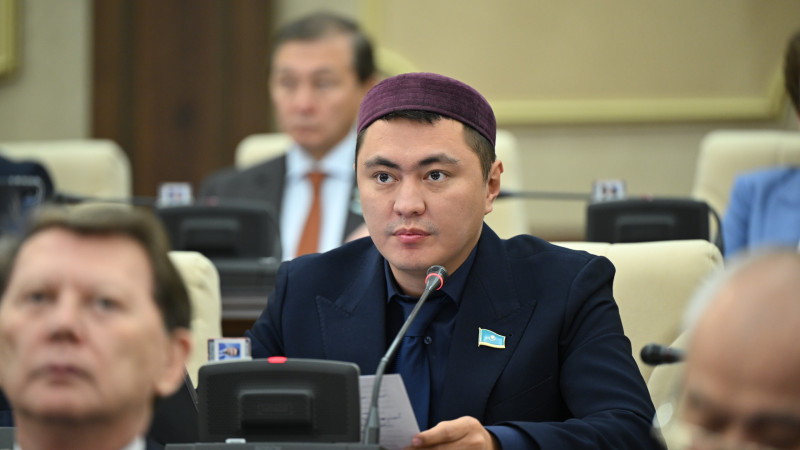 Депутат «декретке миллионмен» дауына қатысты мәлімдеме жасады